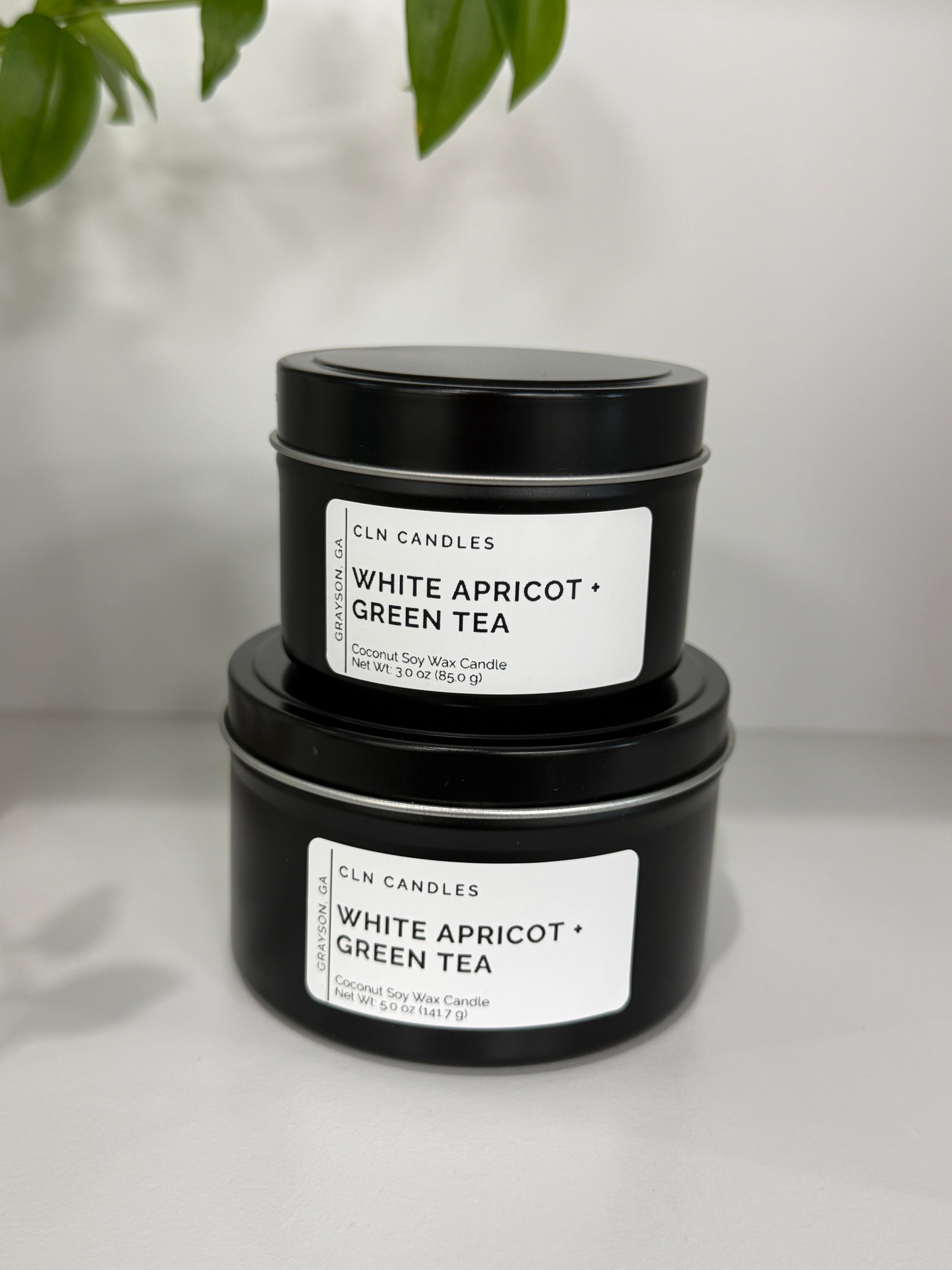 White Apricot + Green Tea