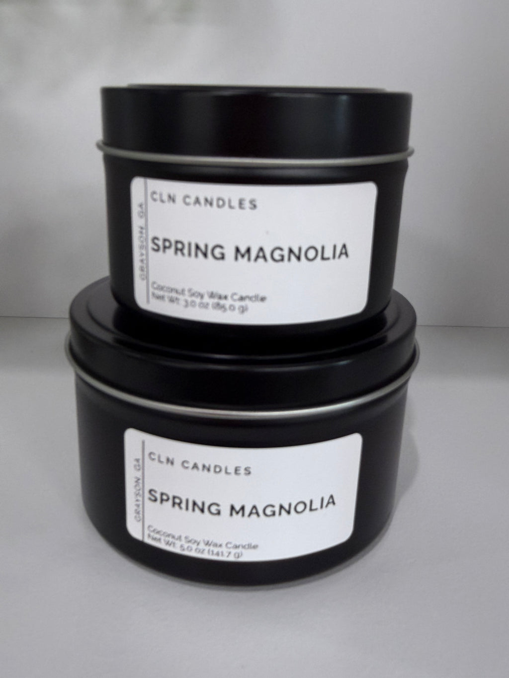 Spring Magnolia