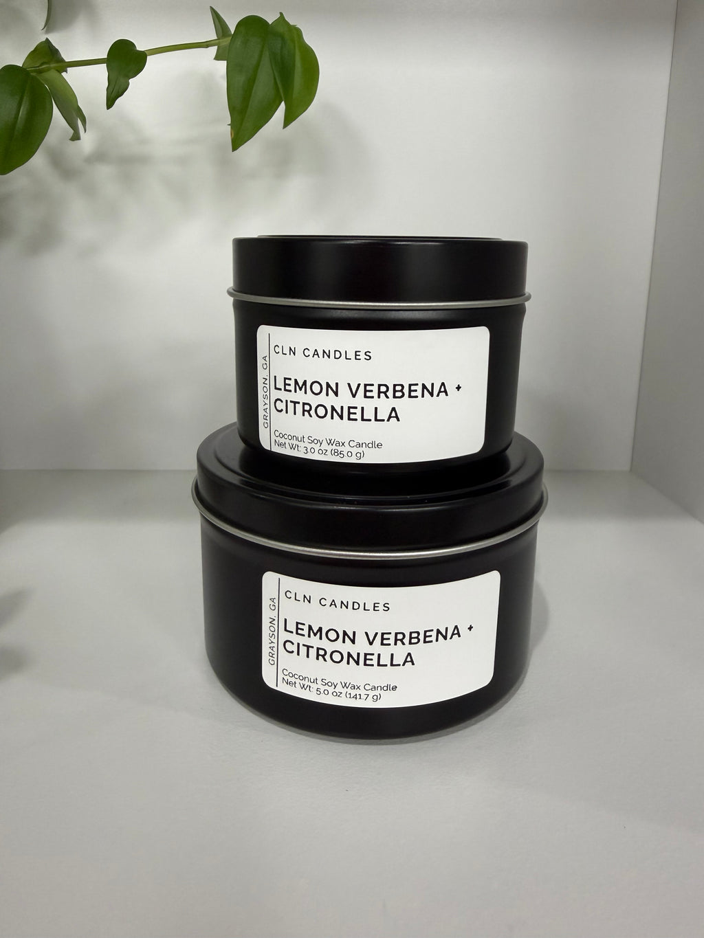 Lemon Verbena + Citronella
